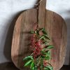 Houten Serveerplank / Broodplank - L -