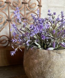 Kunst lavendel