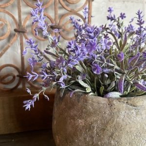 Kunst lavendel
